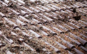 Asterton roof cleaning companies