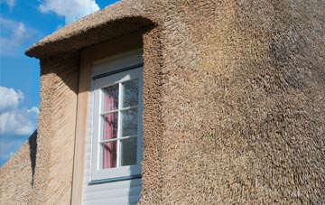 Asterton thatch roof disadvantages